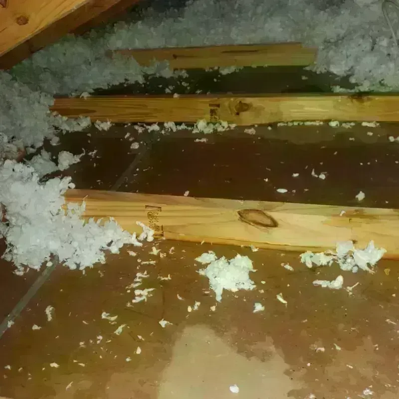 Attic Water Damage in Nevada City, CA