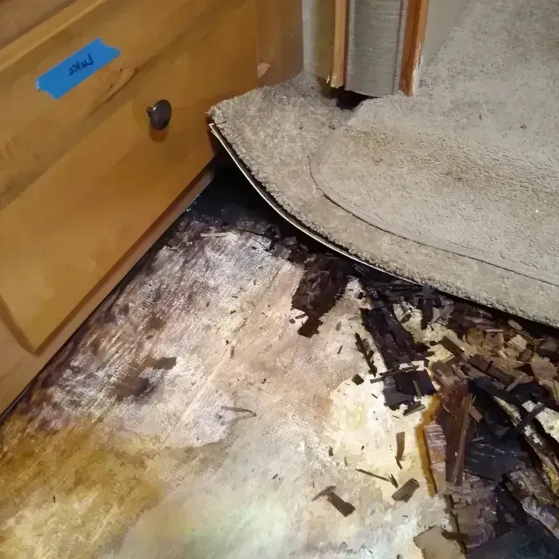 Best Wood Floor Water Damage Service in Nevada City, CA